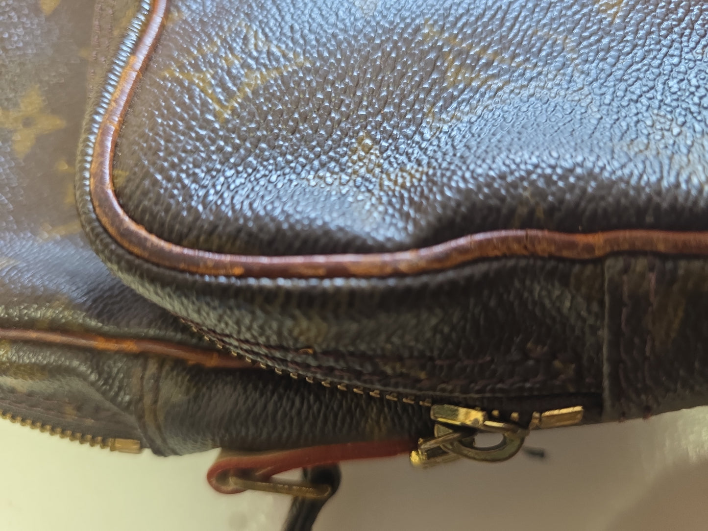 Louis Vuitton Amazone PM Monogram Crossbody Bag