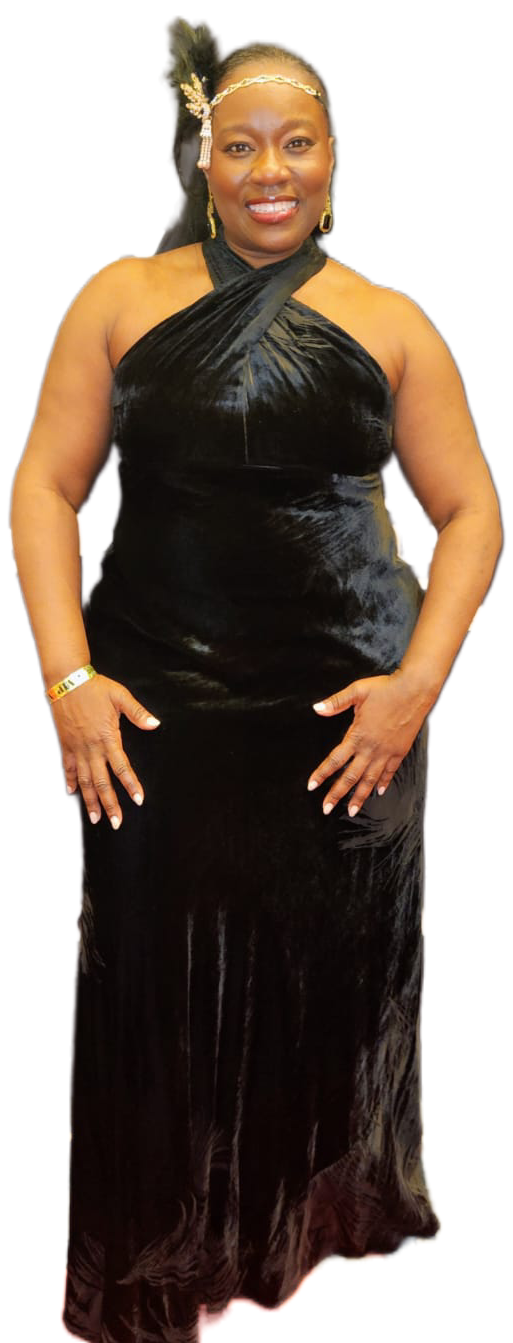 Donna Karan New York Velvet Halter Neck Twist Gown - Black